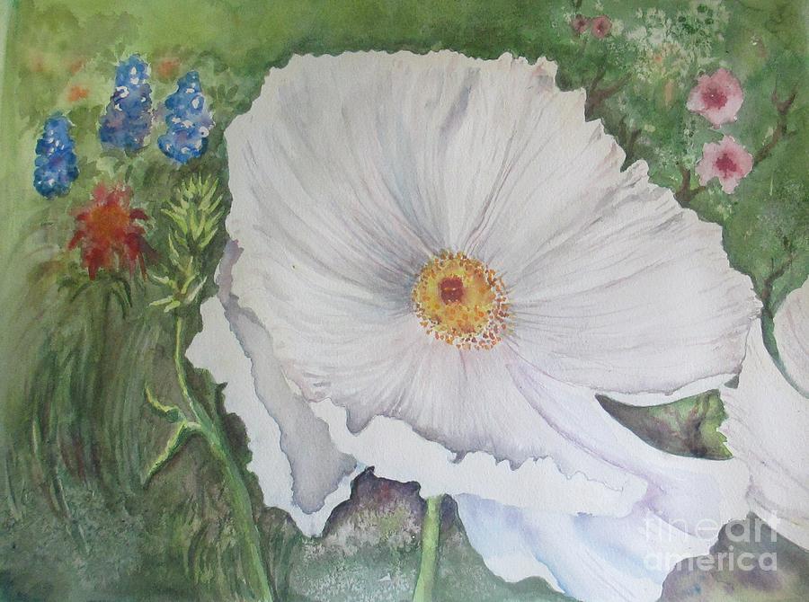 Hill Country White Poppy Painting by Lynn Maverick Denzer