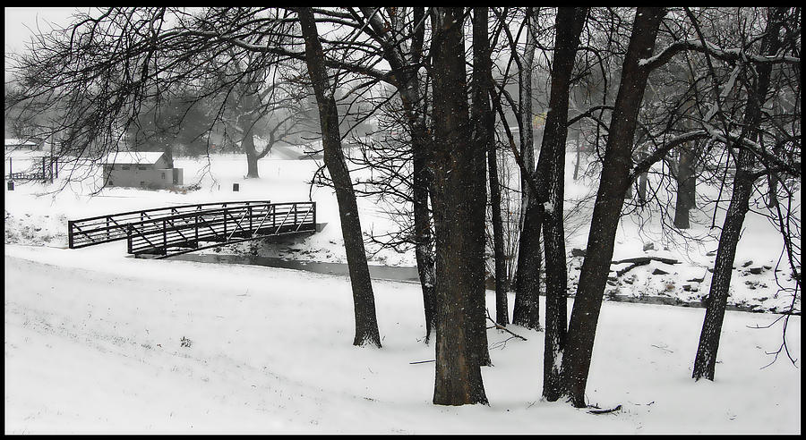 Hill Park Snowstorm Photograph by Ellen Tully