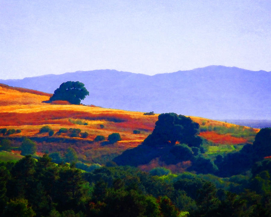 Hills Above Vallejo Photograph by Timothy Bulone