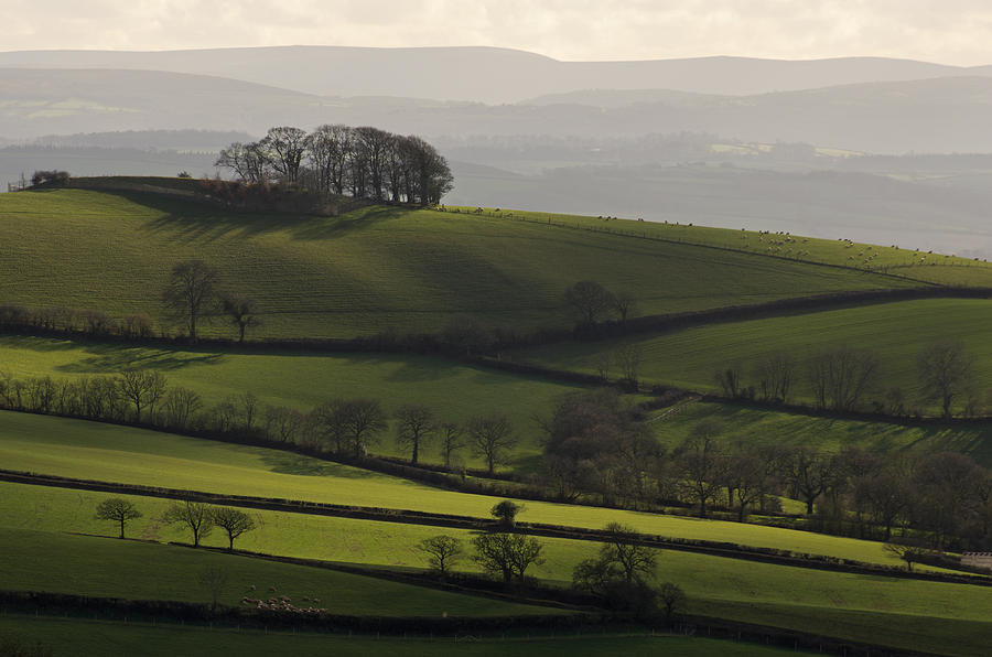 Hills and fields Photograph by Pete Hemington