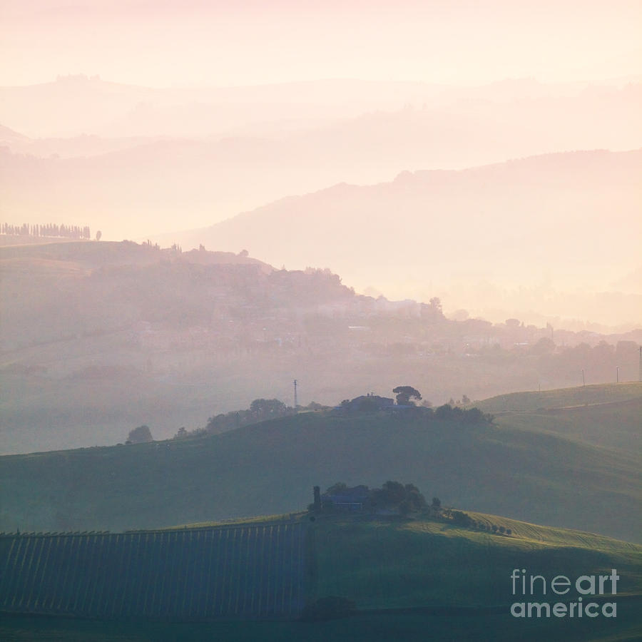 Hills at dawn near Montalcino - Tuscany - Italy Photograph by Matteo Colombo
