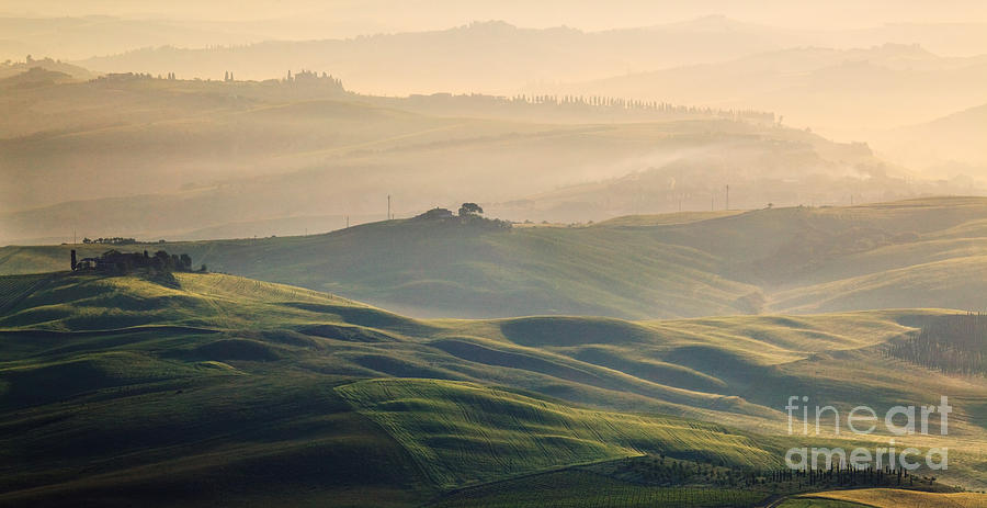 Hills at dawn near Montalcino - Tuscany Photograph by Matteo Colombo