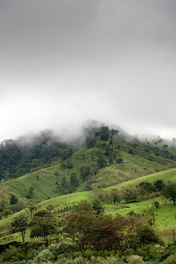 Hills In Fog Photograph by Johner Images