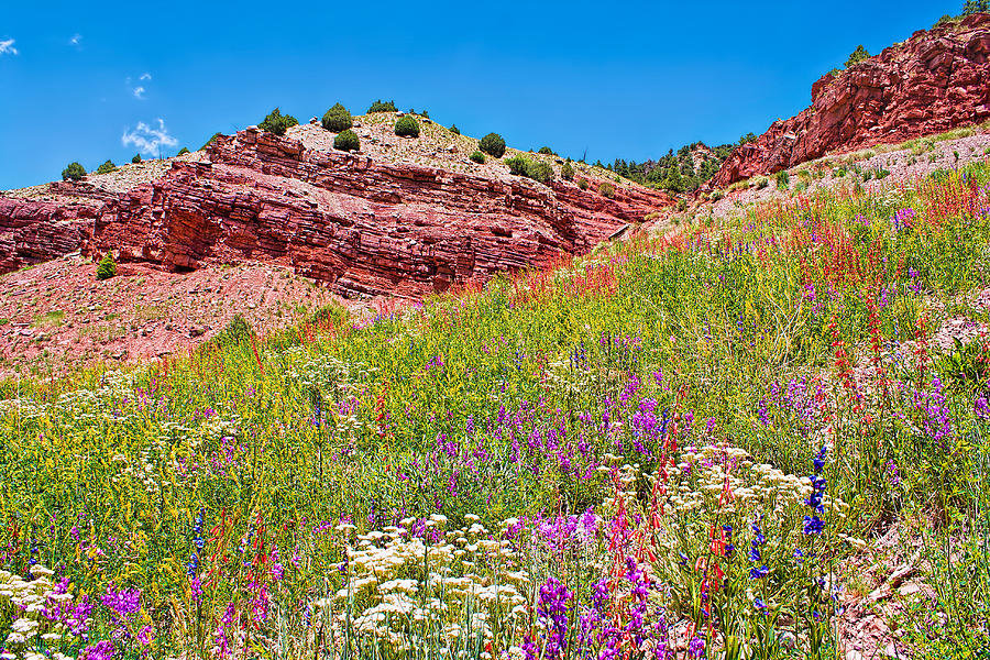 Hills of Color Photograph by Rick Wicker