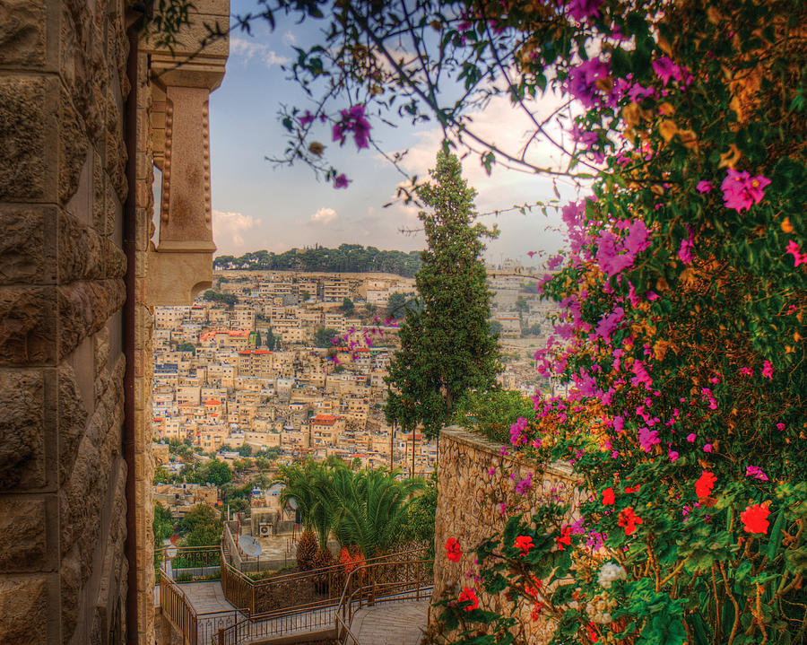 Jerusalem Photograph - Hills of Jerusalem by Don Wolf