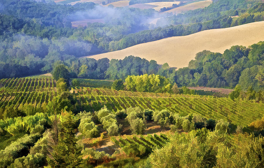 Hills of Tuscany Photograph by David Letts
