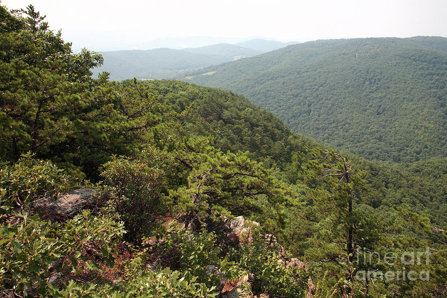 Hills of West Virginia Photograph by William Kuta