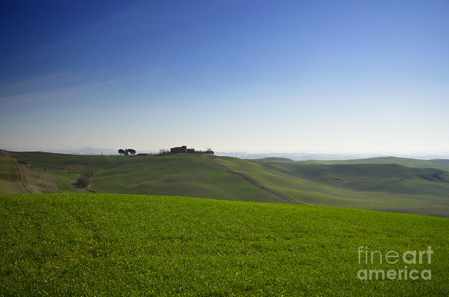Tree Photograph - Hills on the field by Mats Silvan