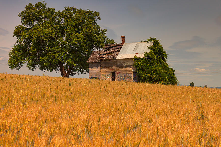 Farm Photograph - Hillsboro Farmhouse by Thomas Hall