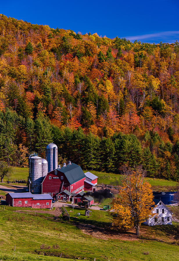 Hillside Acres Farm Photograph by Andy Richards - Fine Art America