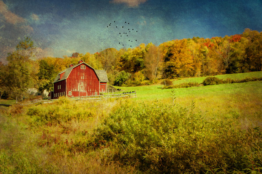 Hillside Barn Photograph by Cathy Kovarik