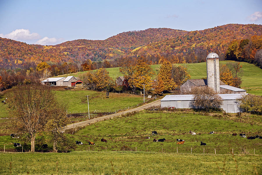 Hillside farm Photograph by Eric Swan