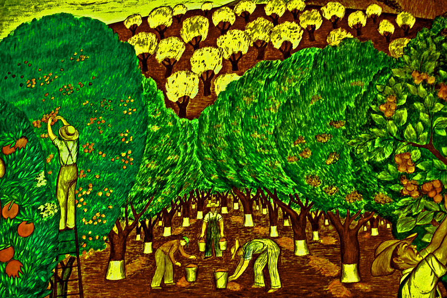 Hillside Orchard Workers Photograph by Joseph Coulombe