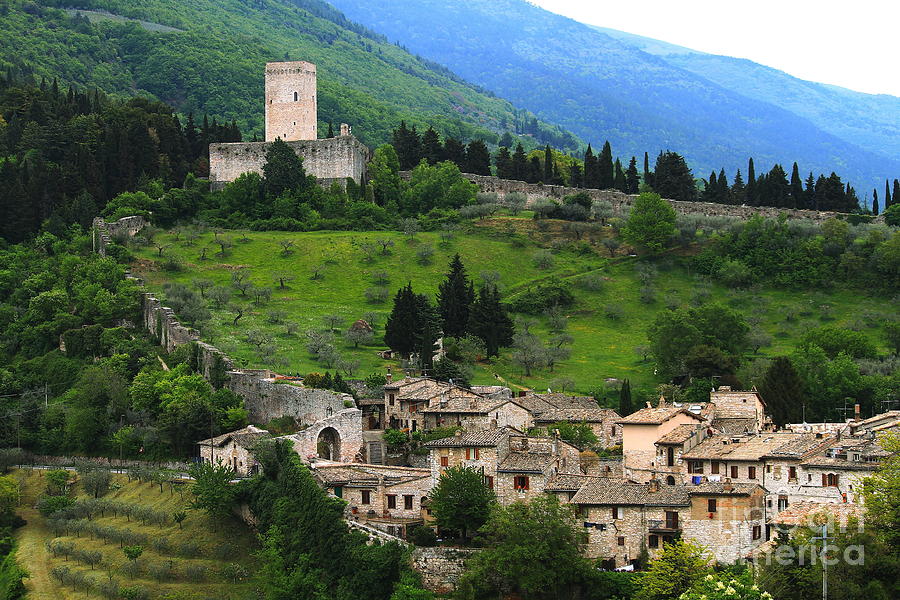 Hillsides of Assisi Italy Photograph by Theresa Ramos-DuVon