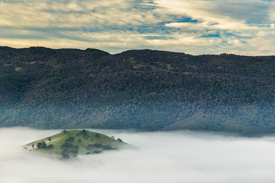 Hilltop Above Fog Photograph by Marc Crumpler