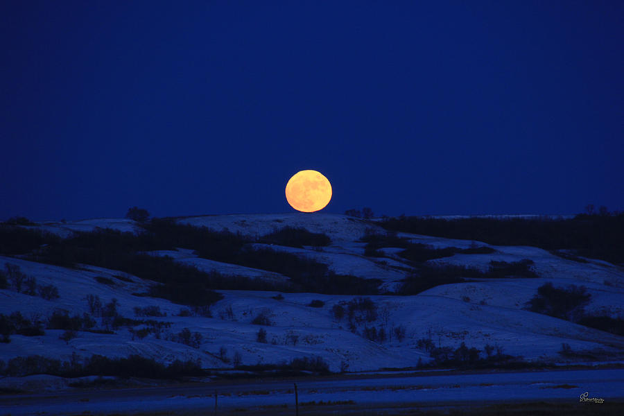 Hilltop Moon Photograph by Andrea Lawrence