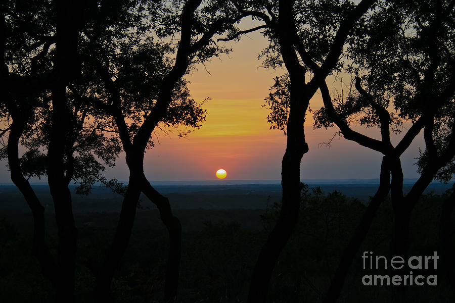 Sunset Photograph - Hilltop Sunset by Diana Black
