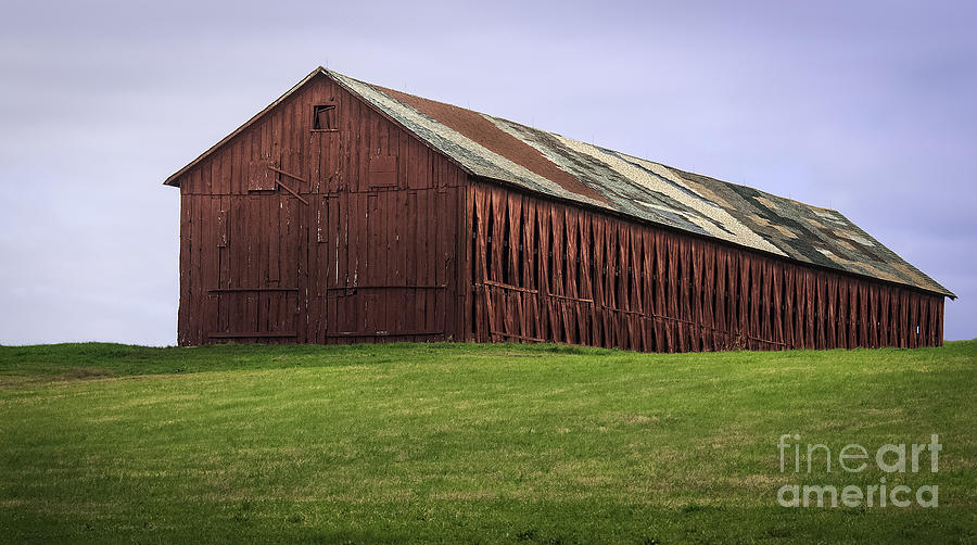 Hilltop Connecticut Tobacco Barn Photograph by Phil Cardamone
