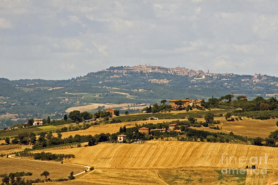 Tree Photograph - Hilltop Town, Italy by Tim Holt