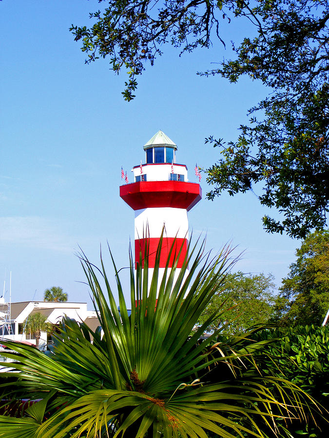 Hilton Head Lighthouse and Palmetto Photograph by Duane McCullough