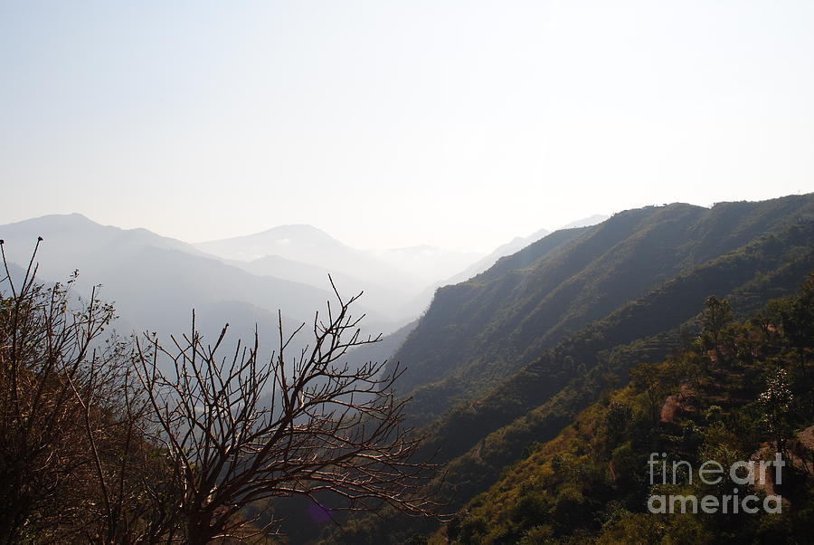 Nature Photograph - Himachal Pradesh by Sharath Babu S