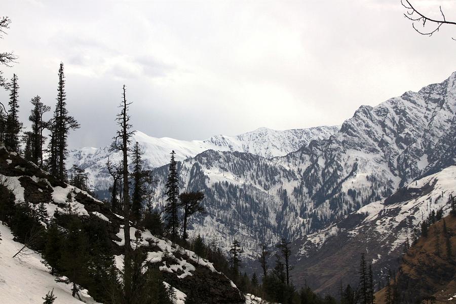 Himalayan Range Photograph by Ramabhadran Thirupattur