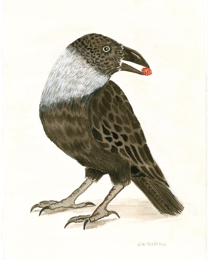 Himalyan Crow Painting by Wicki Van De Veer