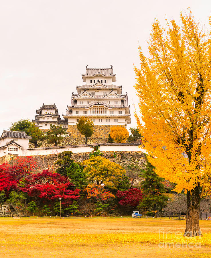 Himeji Castle - Japan Photograph by Luciano Mortula