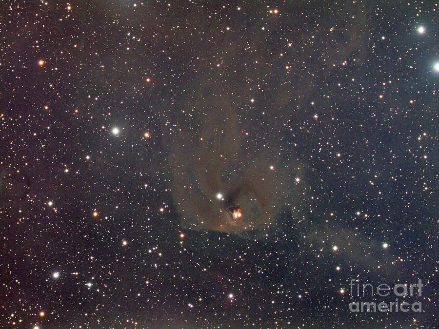 Hinds Variable Nebula Photograph by Chris Cook