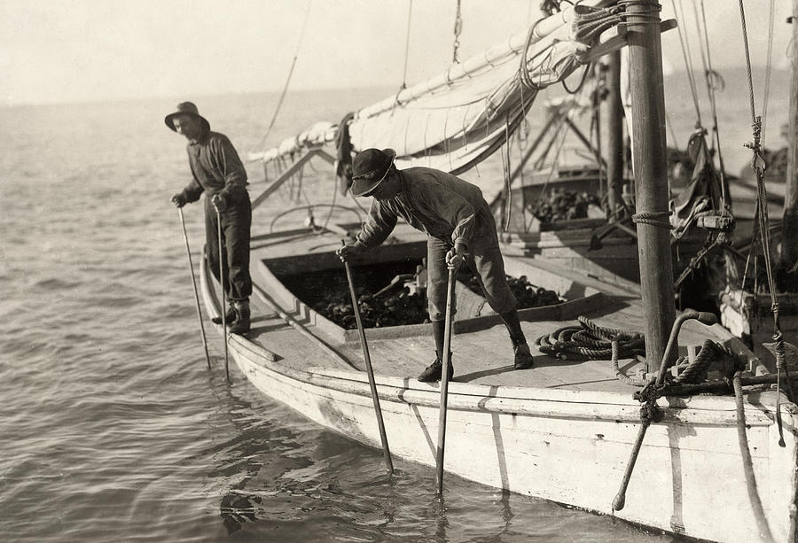 Hine Oyster Fishing, 1911 Photograph by Granger