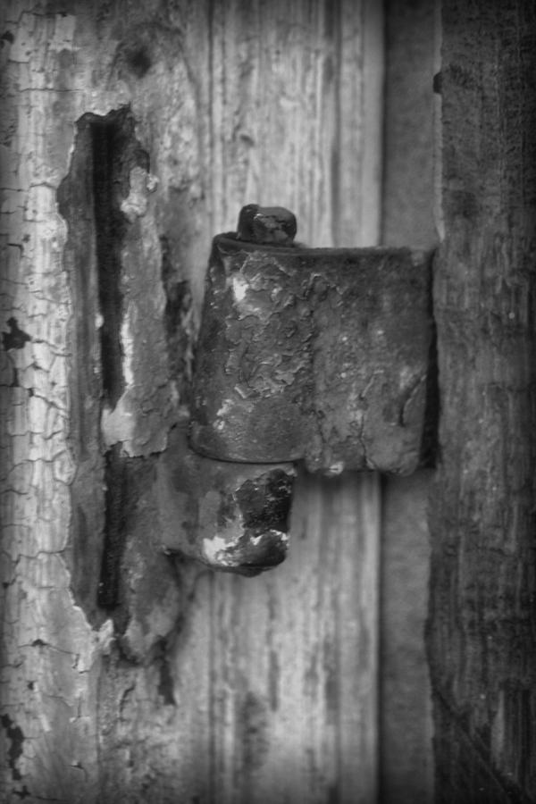 Hinged in Black and White Photograph by Nadalyn Larsen