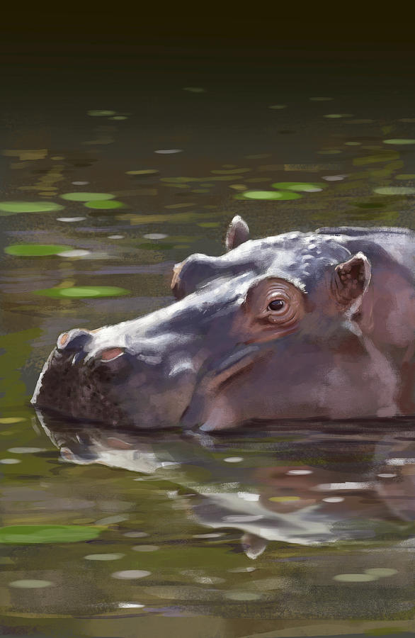 Hippo Digital Art by Arie Van der Wijst