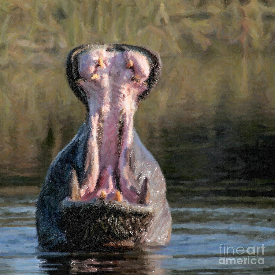 Hippo Hippopotamus amphibius yawning Digital Art by Liz Leyden