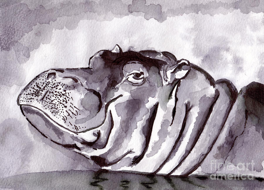 Wildlife Painting - Hippo by Michael Rados