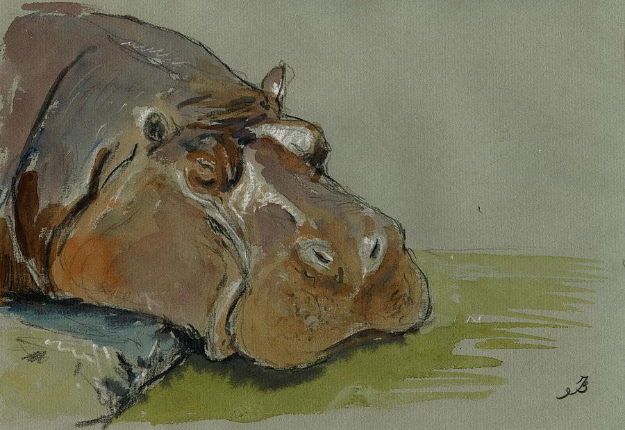 Wildlife Painting - Hippo sleeping by Juan  Bosco