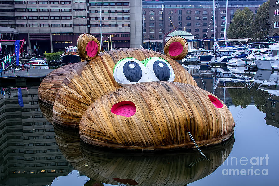 HippopoThames Photograph by Chris Thaxter
