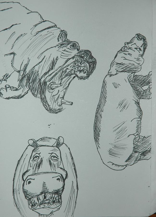 Hippopotamus Drawing - Hippos by Cameron Yates
