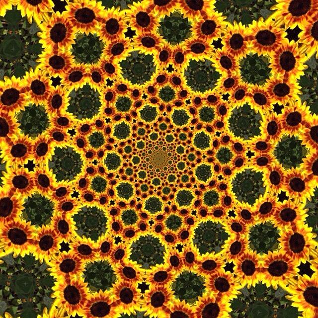 Sunflower Photograph - #hippy #sunflower #fractal #art by Pixie Copley
