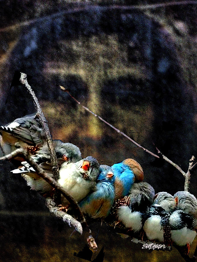 Hymn Digital Art - His Eye Is On The Sparrow by Seth Weaver Hymn Digital Art - His Eye Is On The Sparrow by Seth Weaver