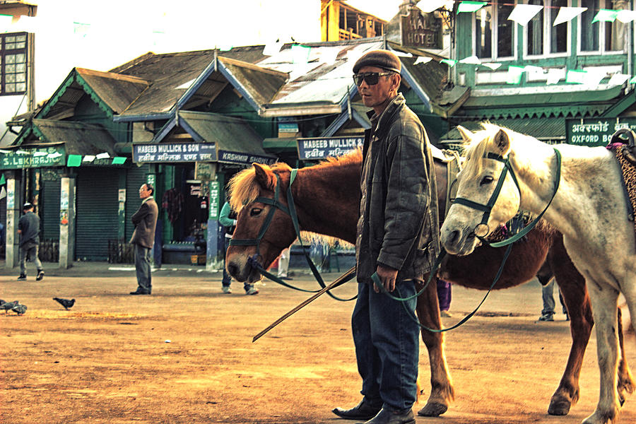 Horse Photograph - His Masters Voice by Dhruv K