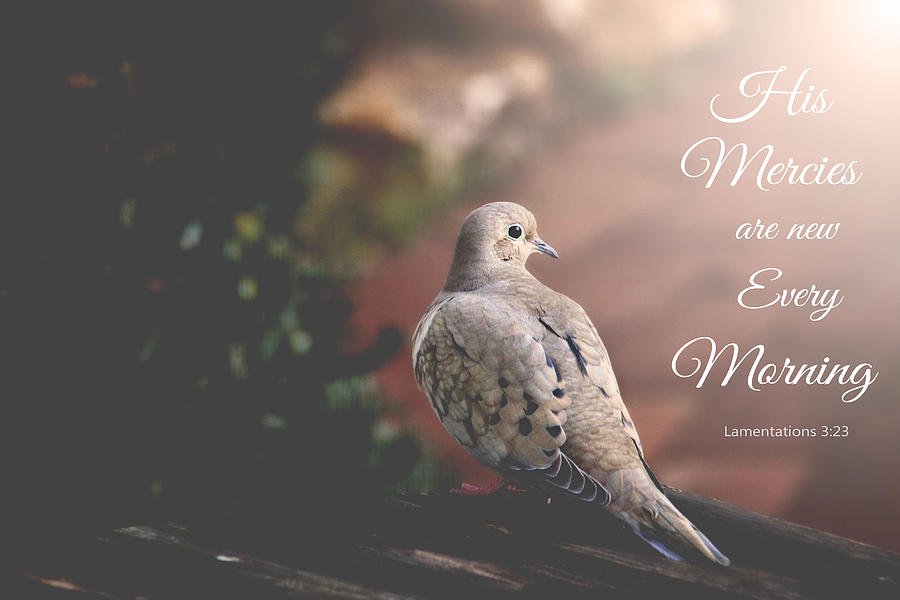 Bird Photograph - His Mercies Are New by Trina  Ansel