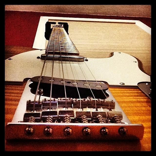 Guitar Still Life Photograph - His Strings #fender #guitar #bridge by Jillian Reynolds