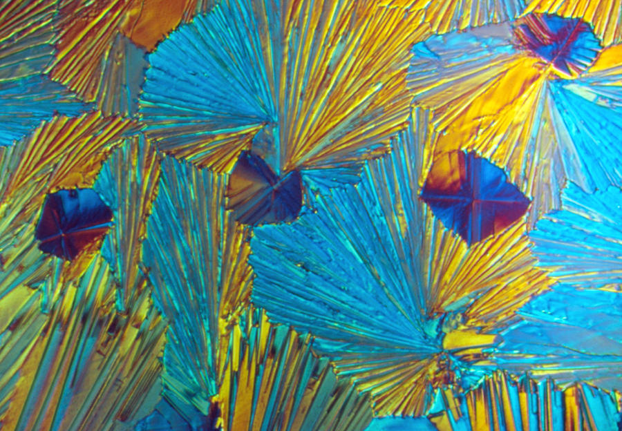 Histamine Crystals Photograph by Perennou Nuridsany