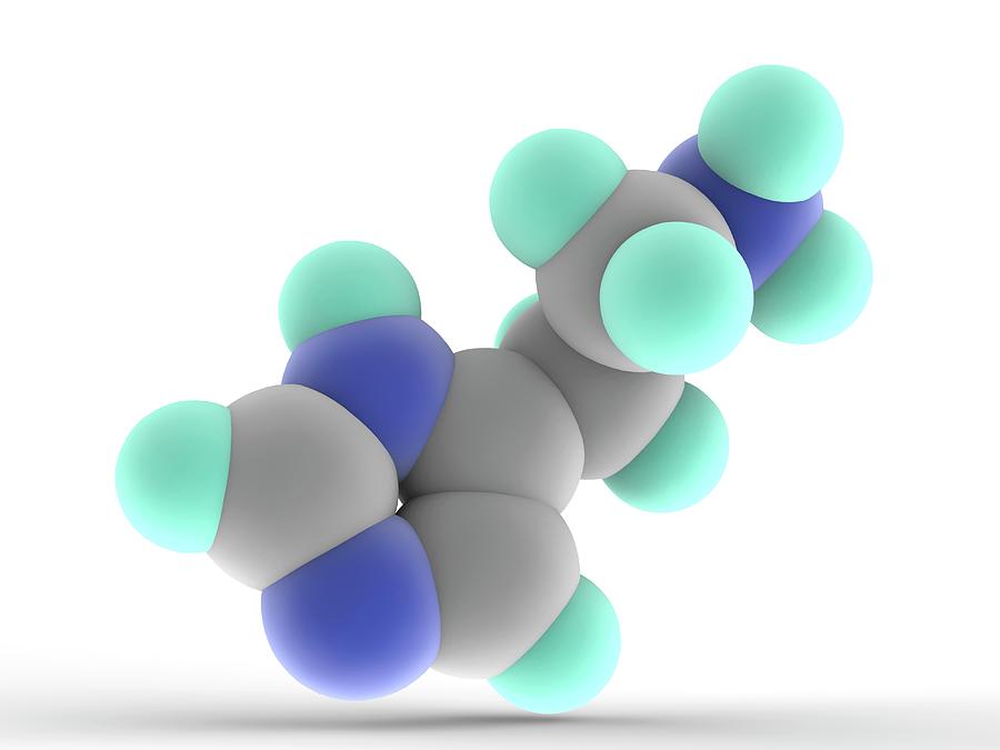 Histamine Molecule Photograph by Alfred Pasieka/science Photo Library ...