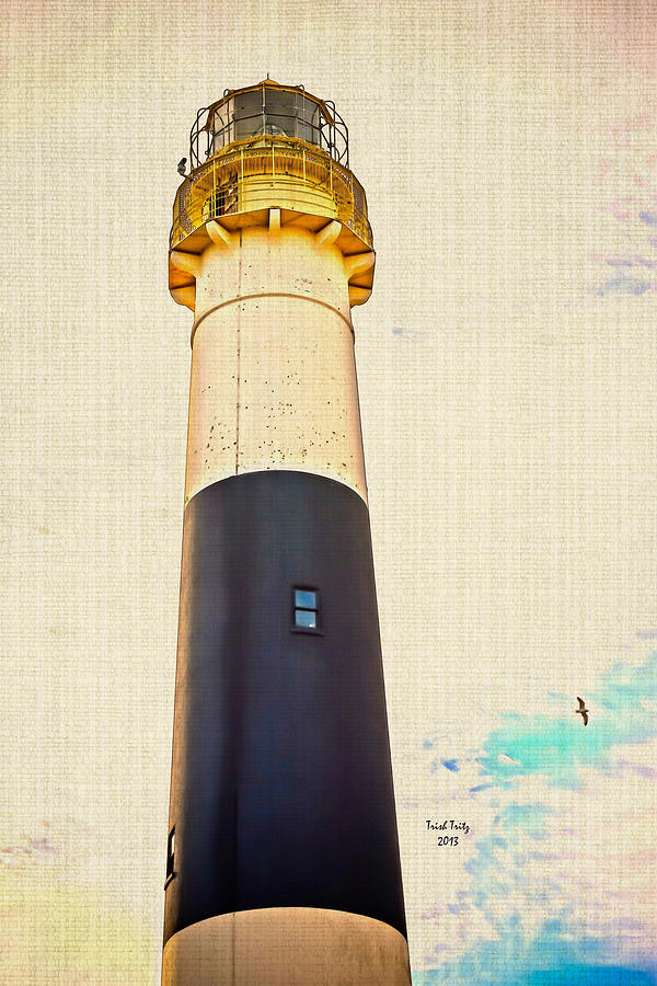 Seagull Photograph - Historic Absecon Lighthouse by Trish Tritz