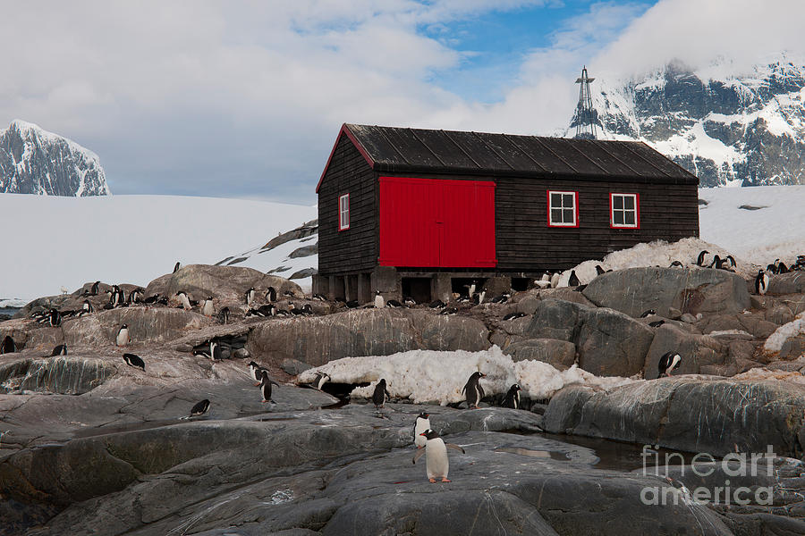 Historic Antarctic Base Photograph by John Shaw