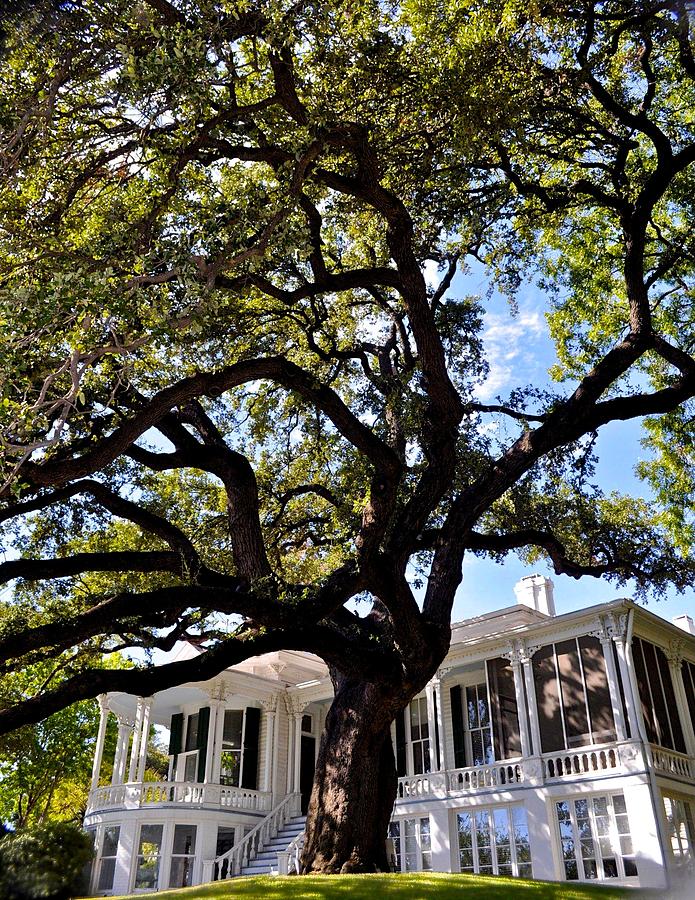 Historic Austin Home Photograph by Kristina Deane