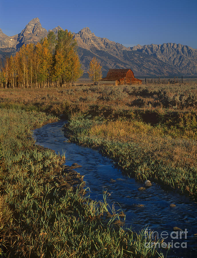 Tree Photograph - Historic Barn By Stream Teton Range Grand Tetons National Park Wyoming by Dave Welling