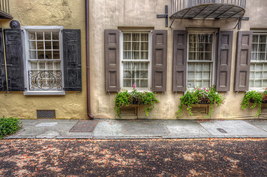 Historic Charleston - Windows Photograph by Douglas Berry