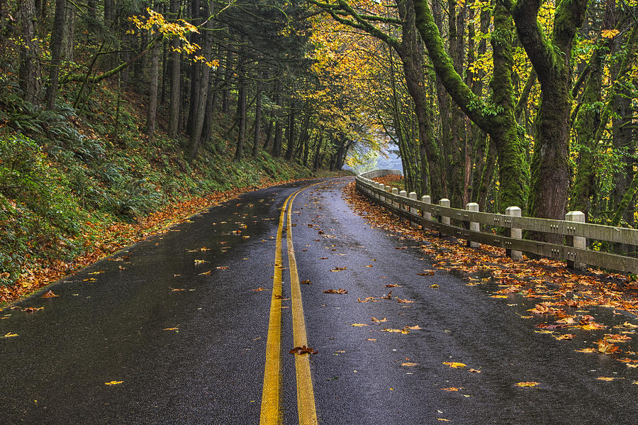 Historic Columbia River Highway Photograph by Mark Kiver